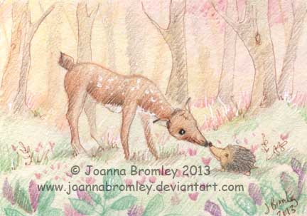 Baby of the Forest by Joanna Bromley